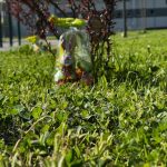 Vesela potraga za pisanicama u organizaciji DV Škrinjica i Općine Vidovec